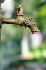 Drachenköpfiger Wasserhahn