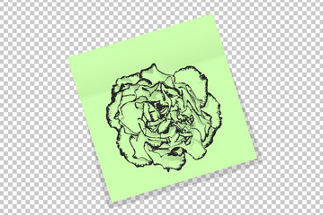 Hand drawn clove flower on green office paper sticker with shadow isolated. Vector illustration