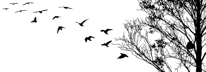 Flying birds and branch silhouettes on white background