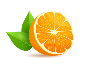 Sliced in Half Orange with Leaves Realistic Vector