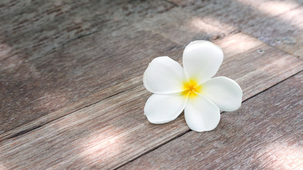 Obraz na płótnie Canvas Plumeria flower on a wooden background.
