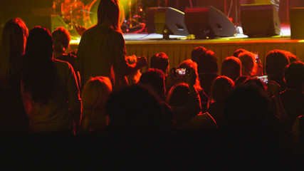 Spectators at a rock concert - crowd blurred