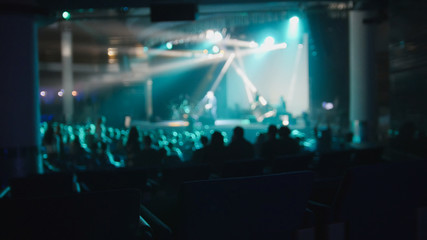 Crowd of people at the concert - de-focused silhouette