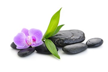 zen basalt stones ,orchid and bamboo