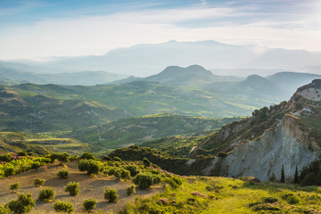 olive plantation on the Crete,Greece