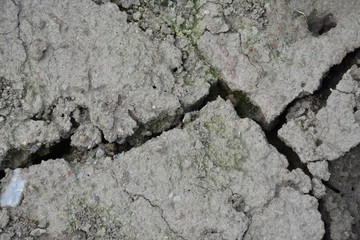 Boden Trockenheit