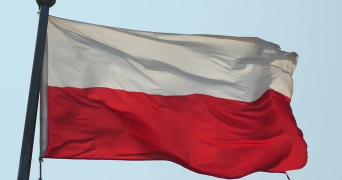 4k poland flag is fluttering in wind.