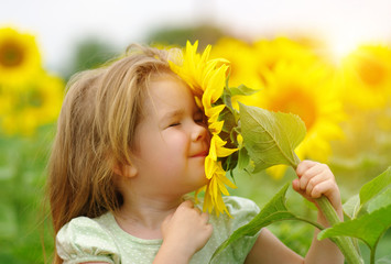  girl and sunflower on the field