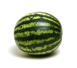 watermelon isolated on white