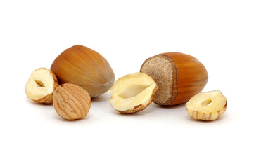 Hazelnut isolated on white