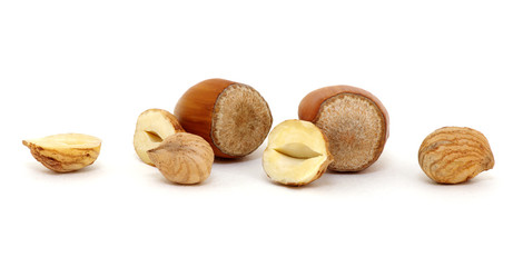 Hazelnut isolated on white