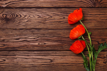 Fototapeta na wymiar Red poppy on wood