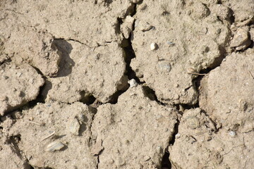 Boden Trockenheit