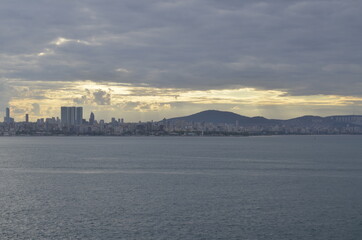 Naklejka premium Nature (Sea)