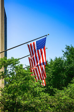 American Flags flying over the sidewalks in downtown Tampa City in Florida