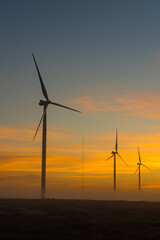 Fototapeta premium Silhouettes of wind turbines at dawn near Hopefield