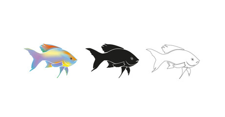 Fish silhouettes on the white background