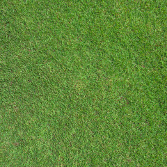 Fototapeta na wymiar Green grass field for football