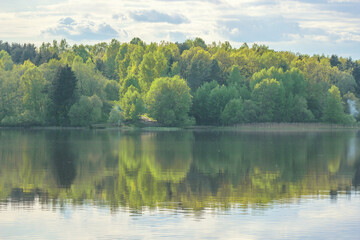 Fototapeta na wymiar Green summer forest and its reflection in the lake
