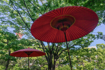 日本庭園　日よけの番傘１