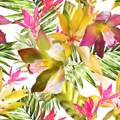 Plakaty  tropikalny wzór. Egzotyczne liście, kwiaty, zioła na białym tle. Akwarela kwiatowy tło