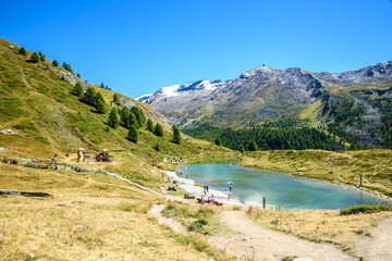 Fototapete bei efototapeten.de bestellen   