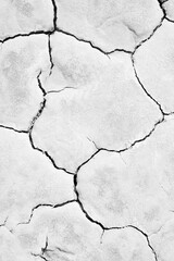 Crack soil texture background