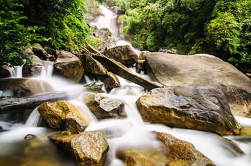 Beautiful in nature landscape, waterfall stream surrounded by green tropical green forest