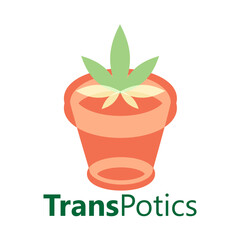 Graphic see through terracotta pot with a pot or marijuana flower.