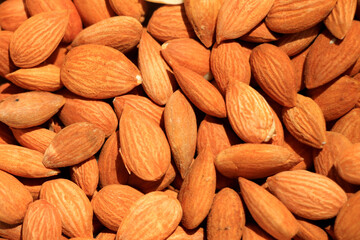 Fresh apricot seeds background