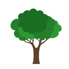 Vector illustration of a green tree with a brown trunk isolated on a white background