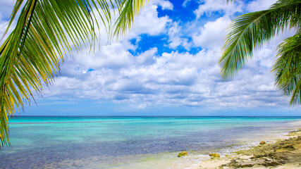 Fototapeta na wymiar Caribbean sea and palms.