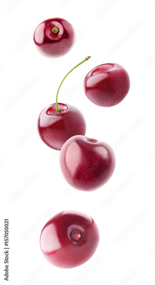 Poster Isolated floating cherries. Falling sweet cherry fruits isolated on white background with clipping path