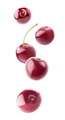 Isolated floating cherries. Falling sweet cherry fruits isolated on white background with clipping path
