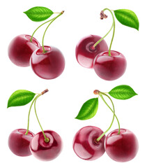 Isolated cherries. Collection of double cherry fruits on stems isolated on white background with clipping path