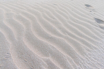 Fototapeta na wymiar Sand ripple 