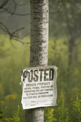 posted sign on a tree