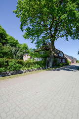 romantisches Reetdach Haus