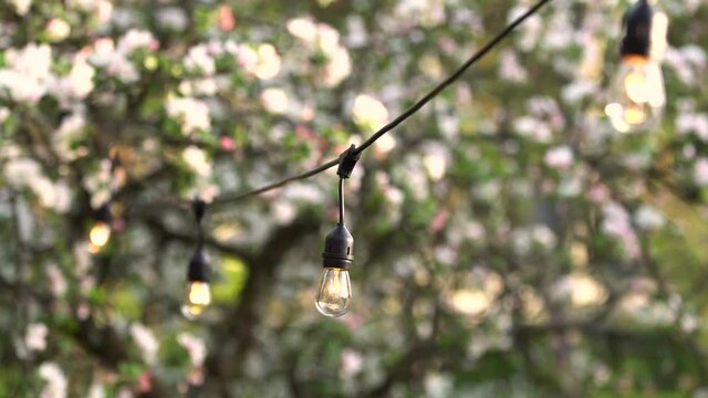 outdoor party string lights hanging in backyard