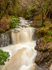 Chutes de Torc, Killarney