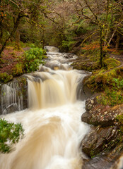 Chutes de Torc, Killarney