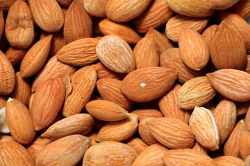 Fresh apricot seeds background