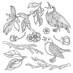 Spring garden design elements set