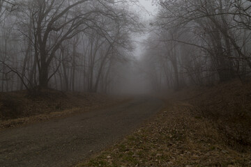 Fototapeta na wymiar Fog on the road