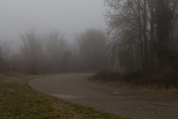 Obraz na płótnie Canvas Danger fog on the road