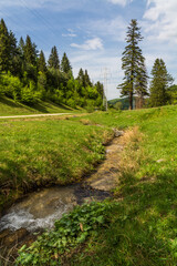 Obraz premium A Small But Beautiful Creek near the Road