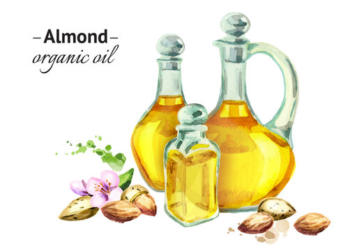 Hand drawn watercolor composition with bottles of almond oil and nuts