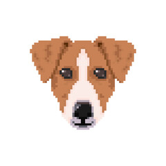 Jack Russell dog head in pixel art style. Vector illustration.