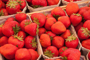 détail fraises bio en barquettes au marché