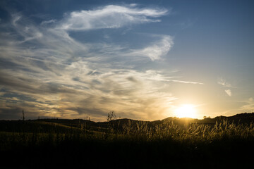 Sunset on meadow with hills and tree. Slovakia